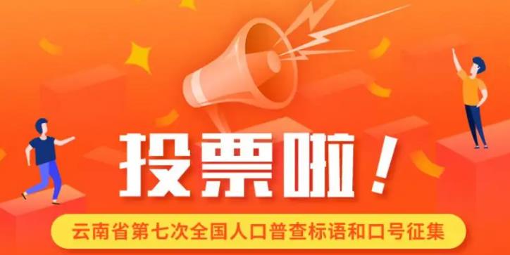 投票人工团队 专业投票平台 微信投票在线刷 投票业务自助下单平台