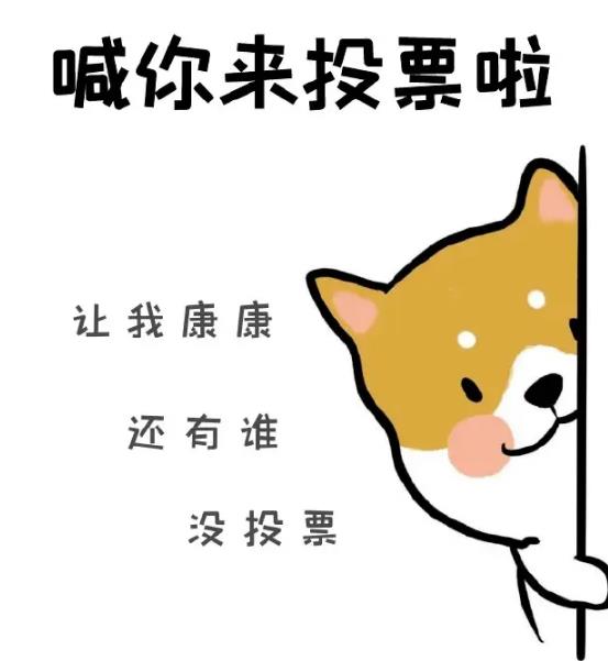 【刷新认知】专业微信投票多少钱一票？专业人工投票团队一票多少钱？